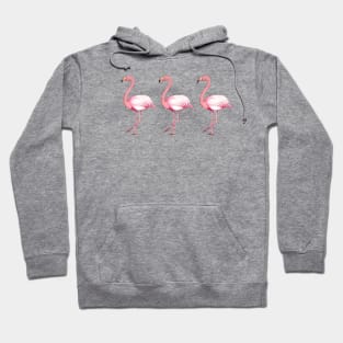 Three Tropical Flamingos Design Hoodie